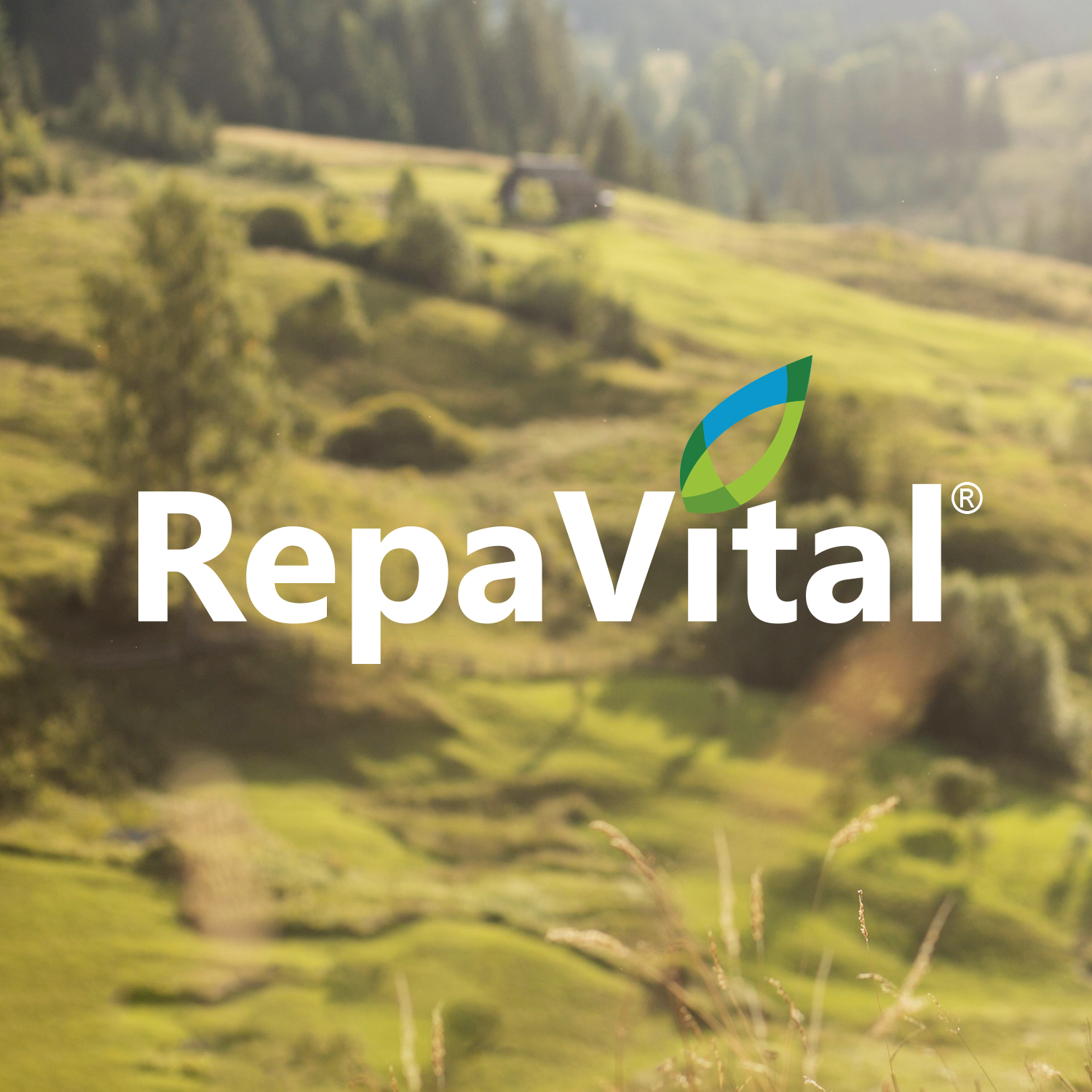 RepaVital – Das Unternehmen