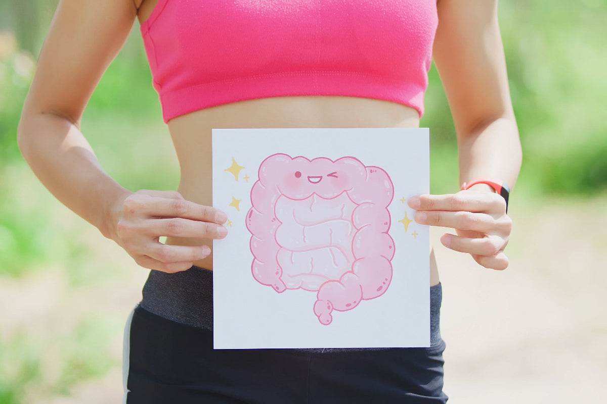 Leaky Gut – was versteht man unter einer veränderten Darmbarriere?