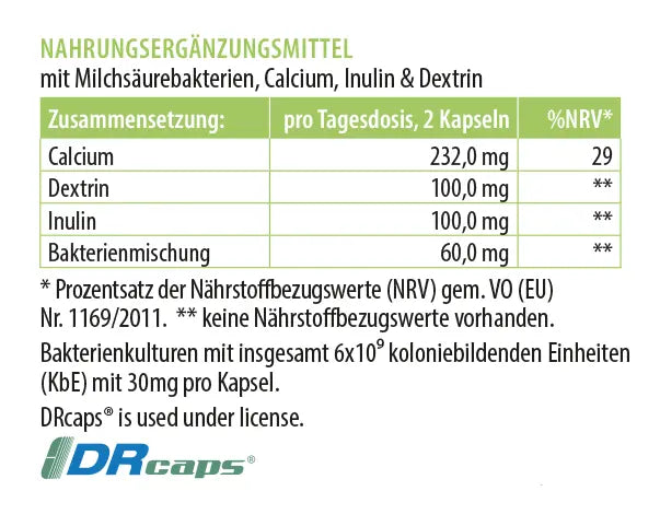 Zusammensetzung des Nahrungsergänzungsmittels Darm 13 mit Milchsäurebakterien, Calcium, Inulin und Dextrin