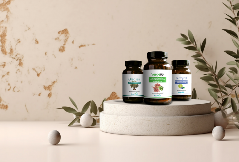 RepaVital Start Bild Homepage