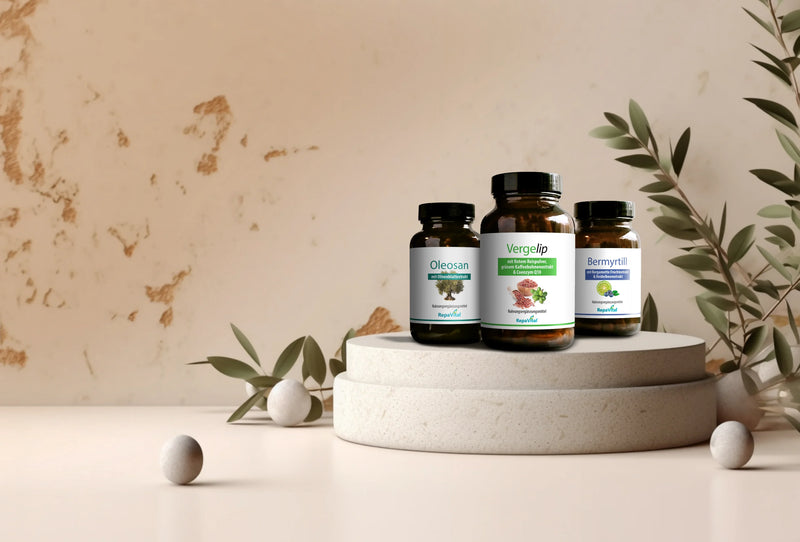 Produktabbildung: Drei RepaVital Nahrungsergänzungsmittel (Oleosan, Vergelip, Bermyrtill) auf Podest im Natur-Setting.