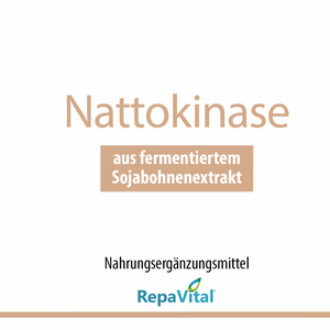 Nattokinase