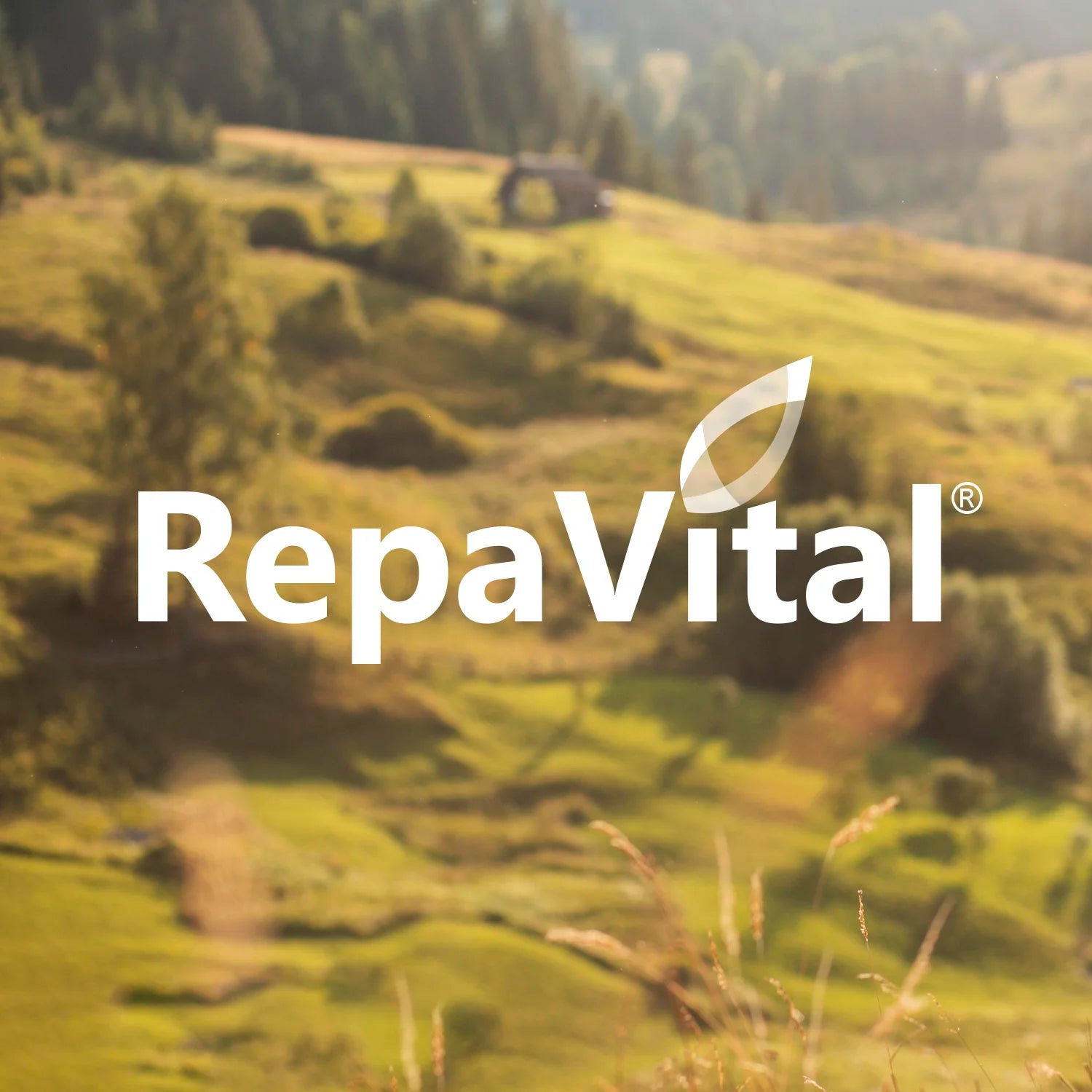 RepaVital Logo vor sonniger Alpenlandschaft mit grünen Wiesen und Hügeln als stimmungsvolles Markenmotiv.